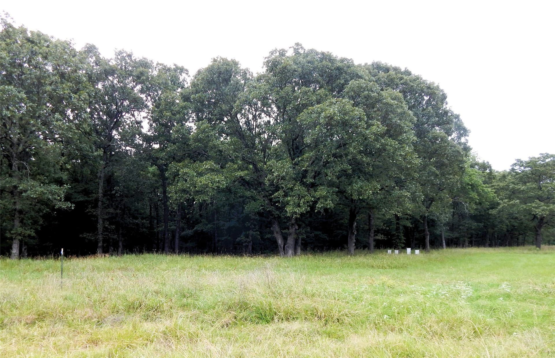 10.12 acres in Red River (TX) County - photo 4