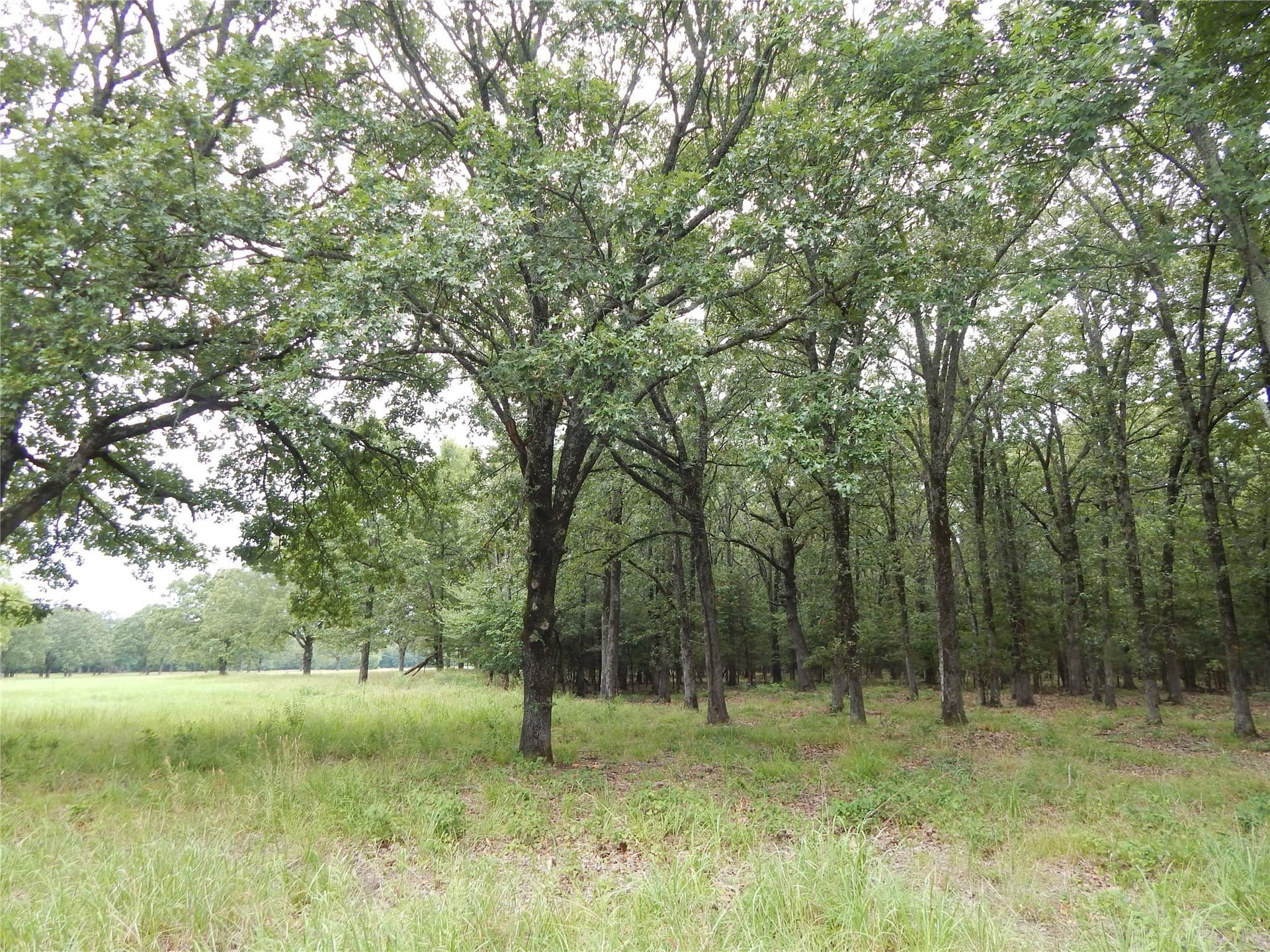 10.12 acres in Red River (TX) County - photo 12