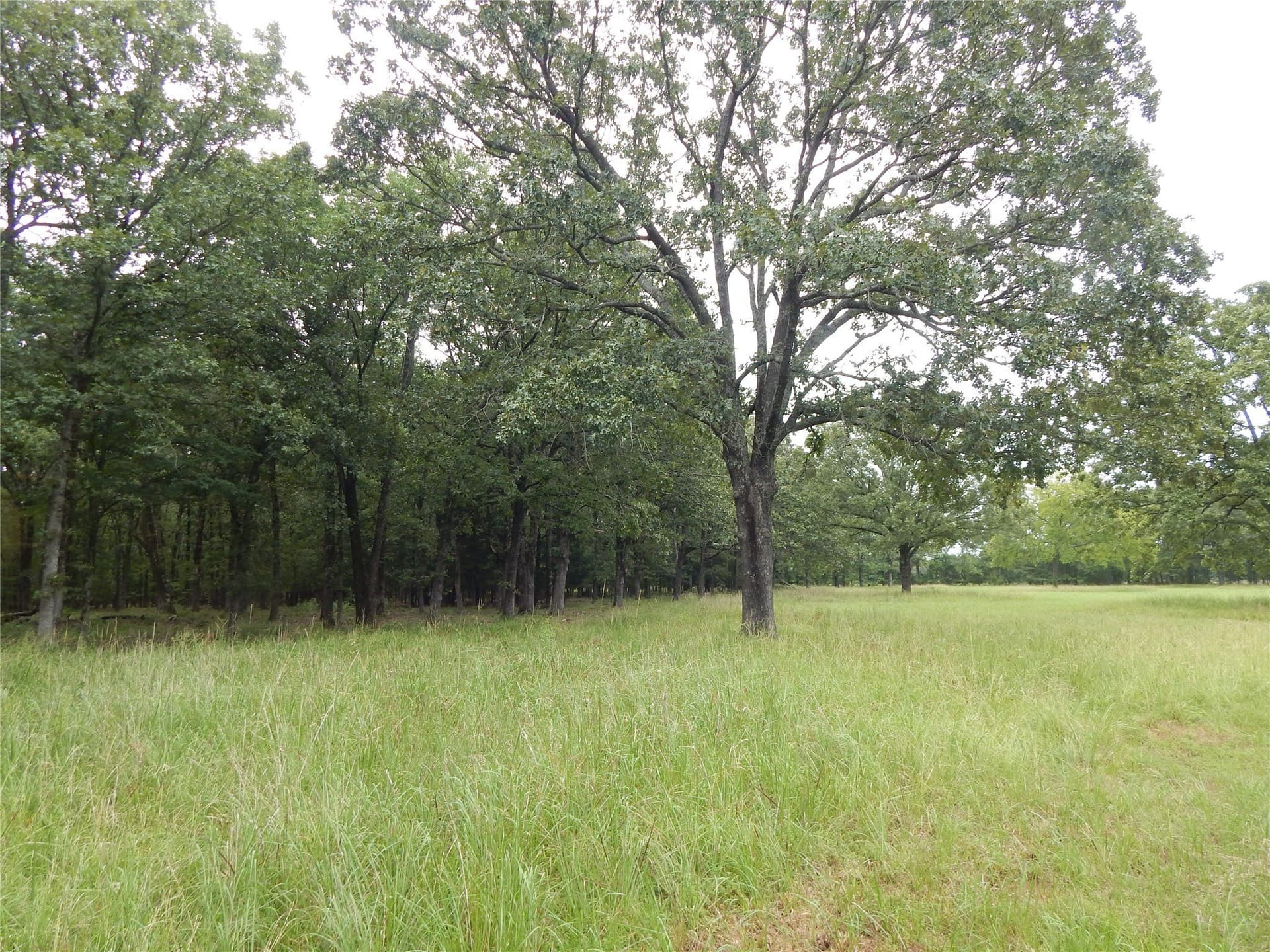 10.12 acres in Red River (TX) County
