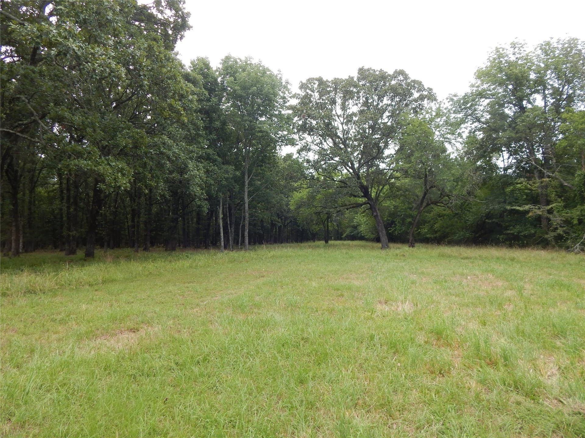 10.12 acres in Red River (TX) County - photo 7