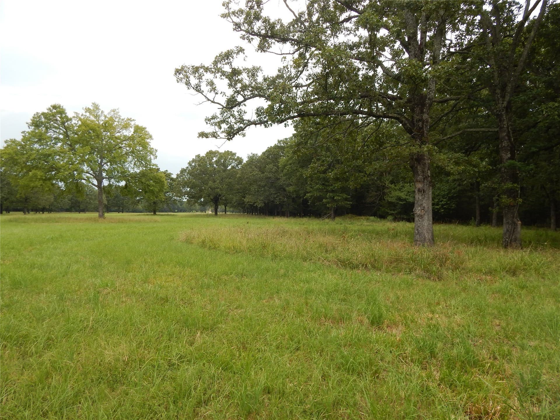 10.12 acres in Red River (TX) County - photo 19