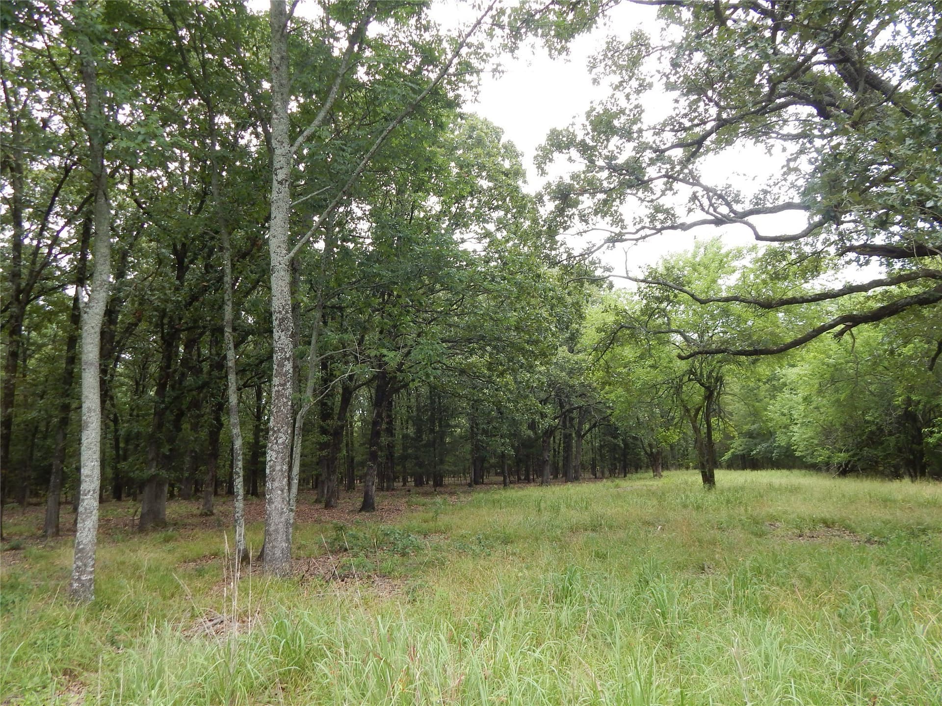 10.12 acres in Red River (TX) County - photo 20
