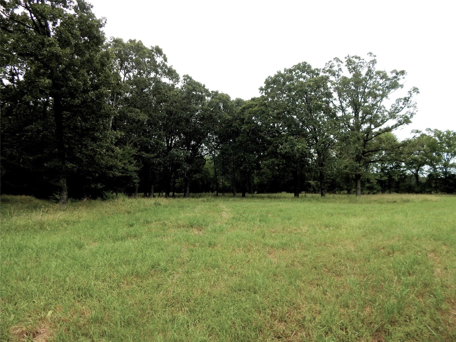 10.12 acres in Red River (TX) County - photo 10