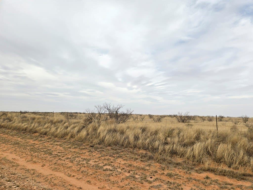 100 acres in Gaines County featured view