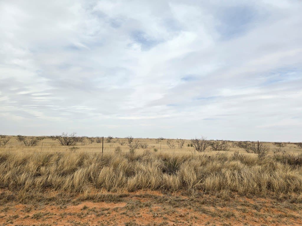 100 acres in Gaines County gallery image 4