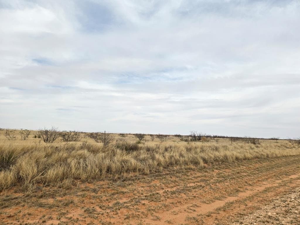 100 acres in Gaines County gallery image 2