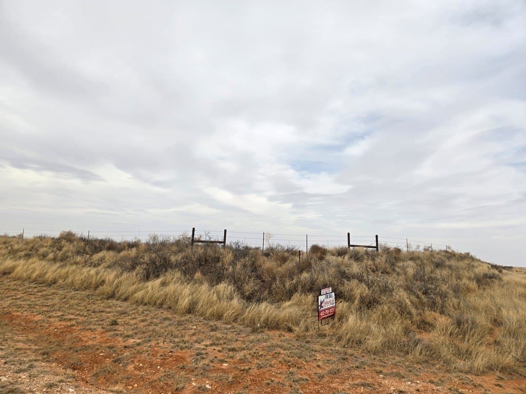 100 acres in Gaines County gallery image 3