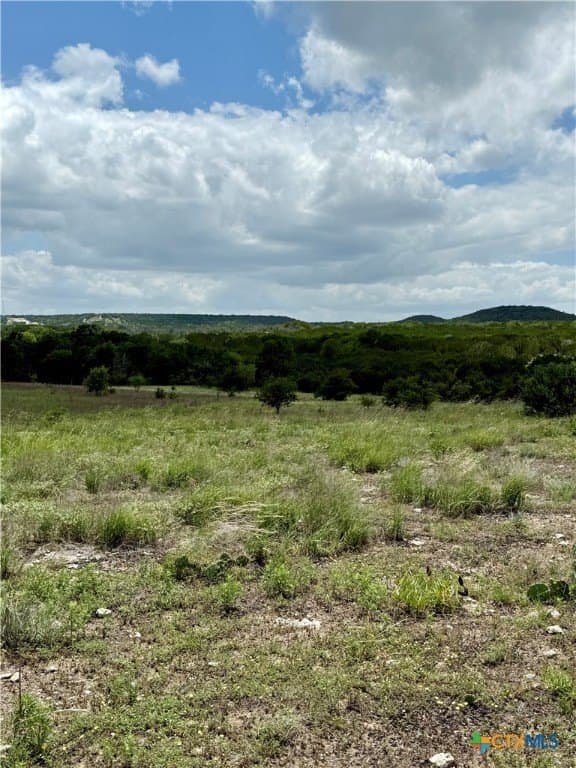 11.02 acres in Coryell County gallery image 4