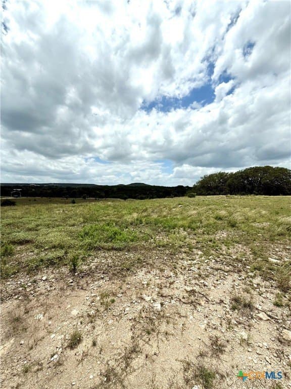 11.02 acres in Coryell County gallery image 3