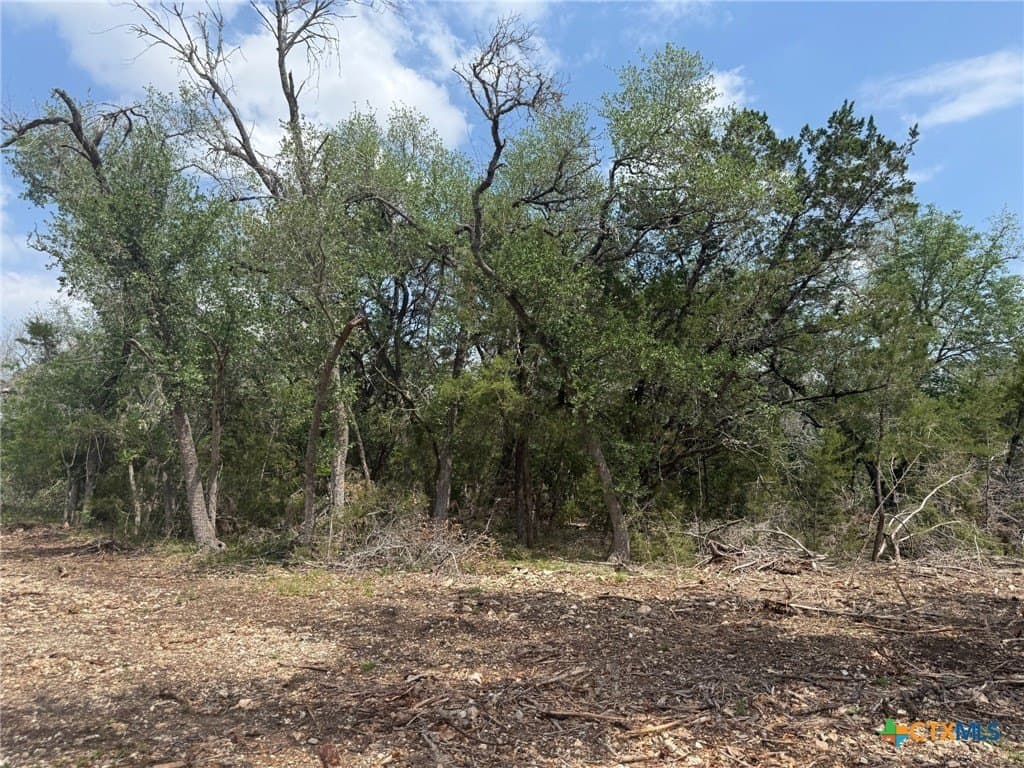 1.57 acres in Bell County gallery image 3