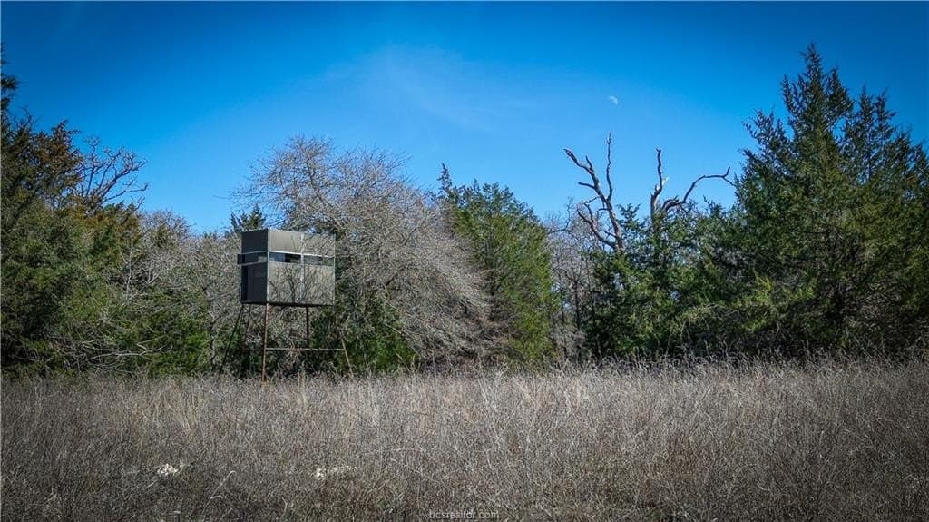 80 acres in Milam County featured view