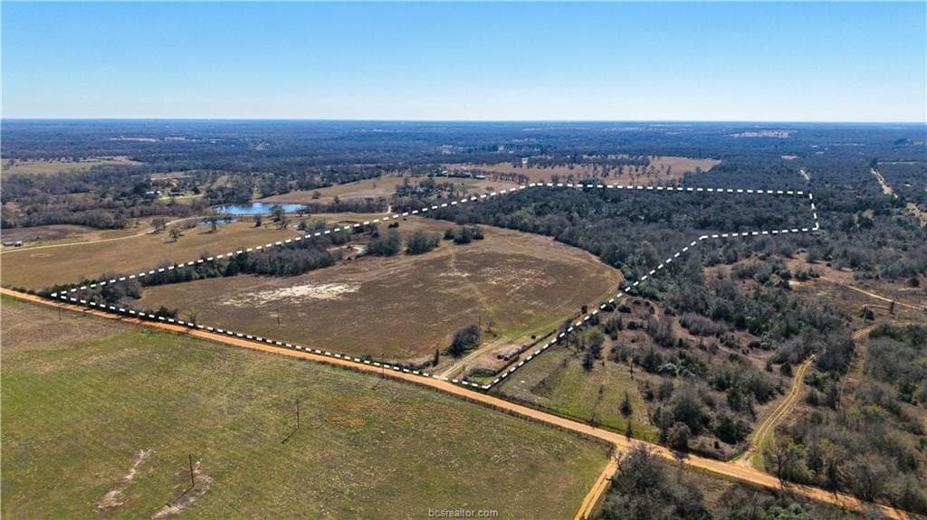 80 acres in Milam County gallery image 2