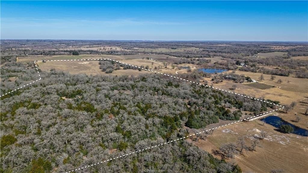 80 acres in Milam County gallery image 3