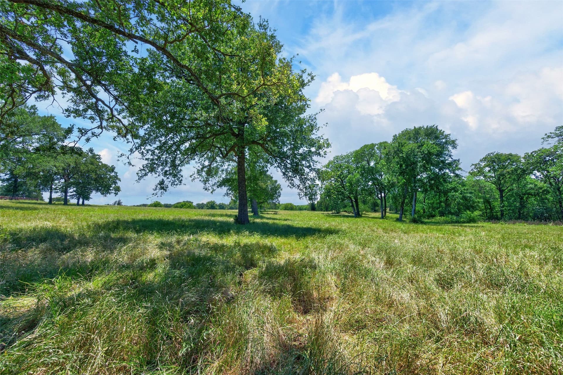 140 acres in Anderson County - photo 14