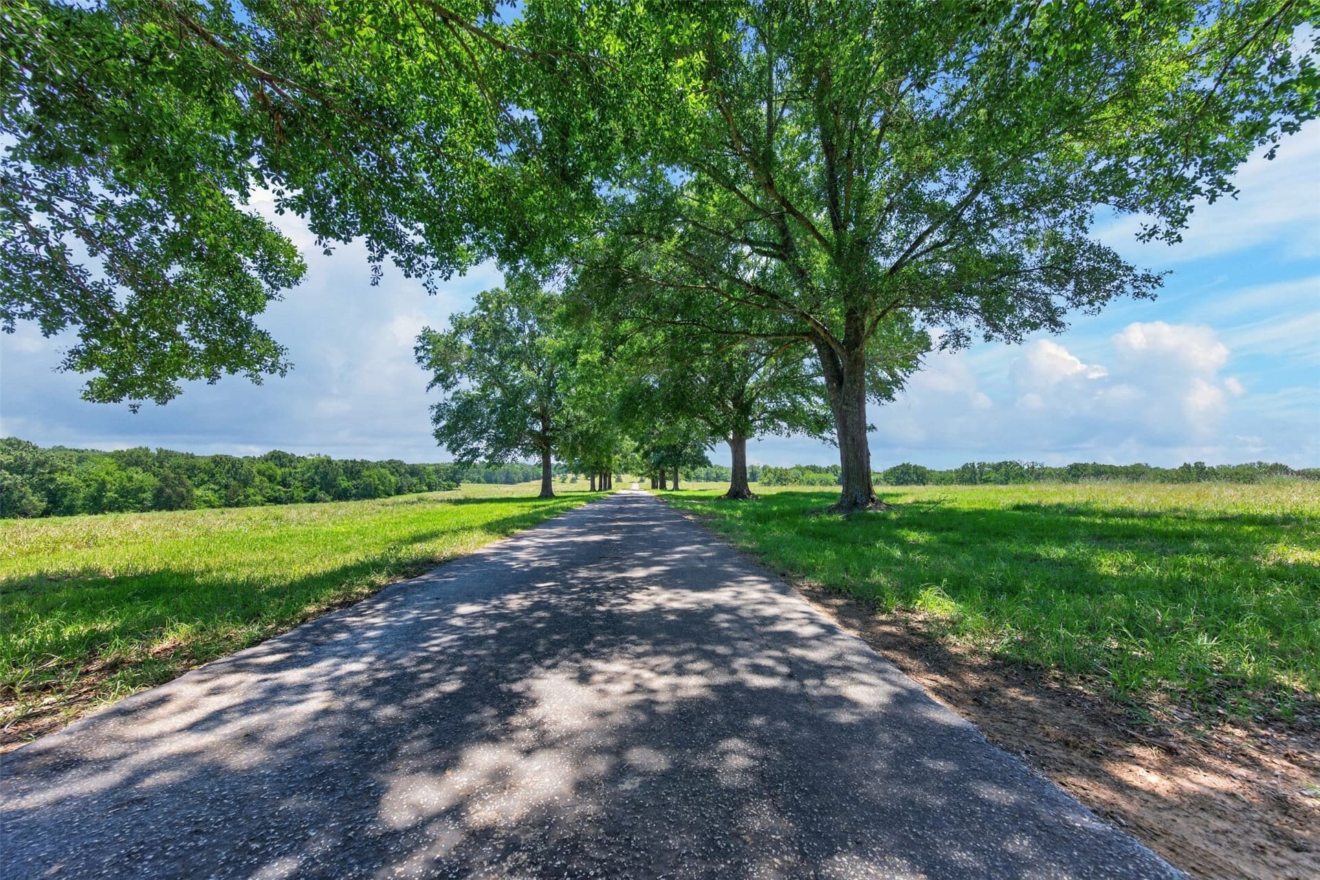 140 acres in Anderson County - photo 23