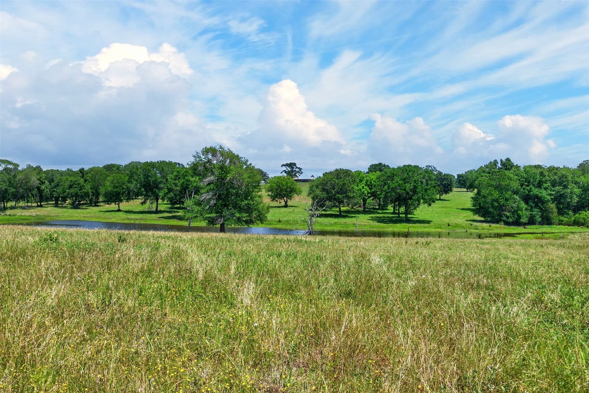 140 acres in Anderson County - photo 9