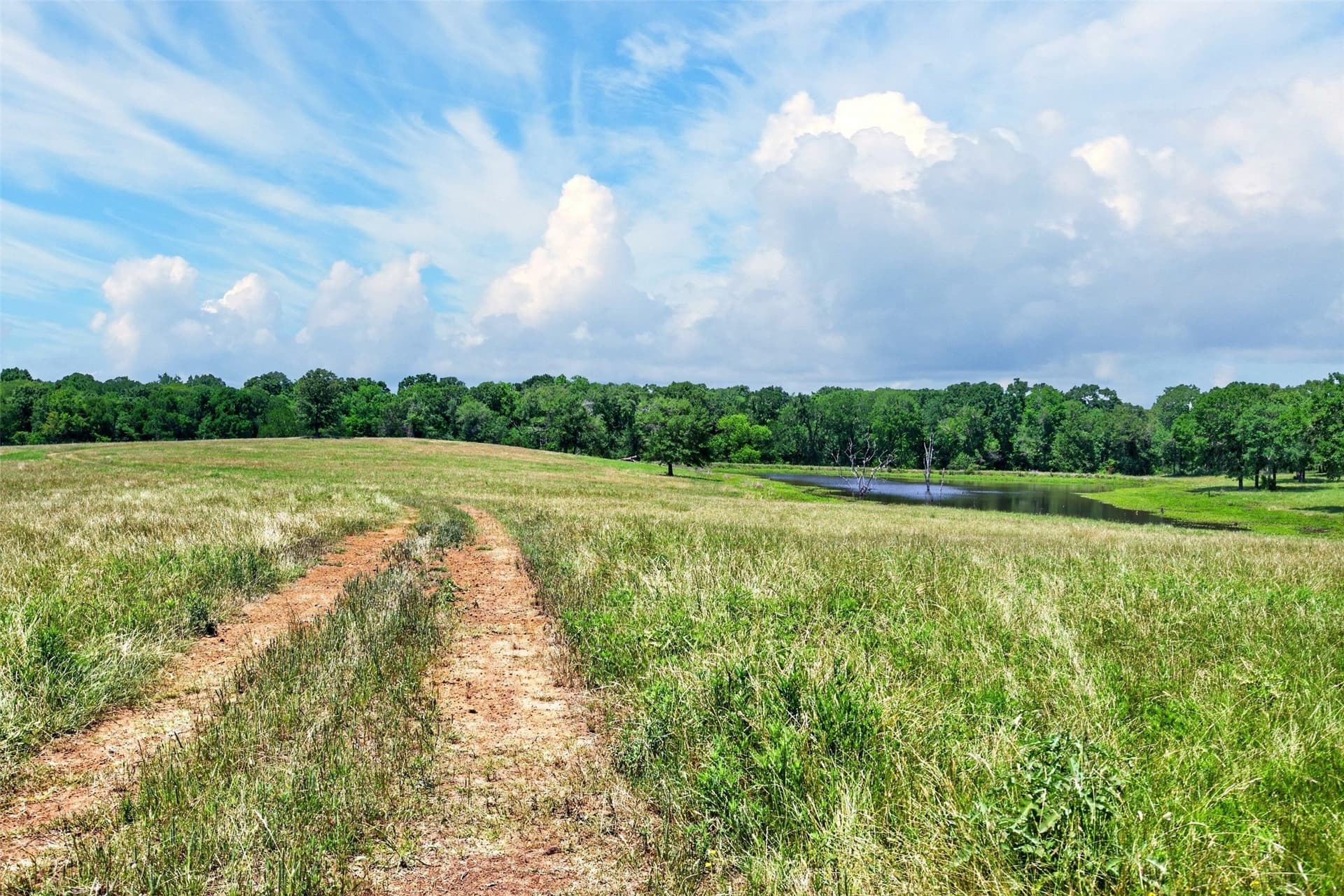 140 acres in Anderson County - photo 16