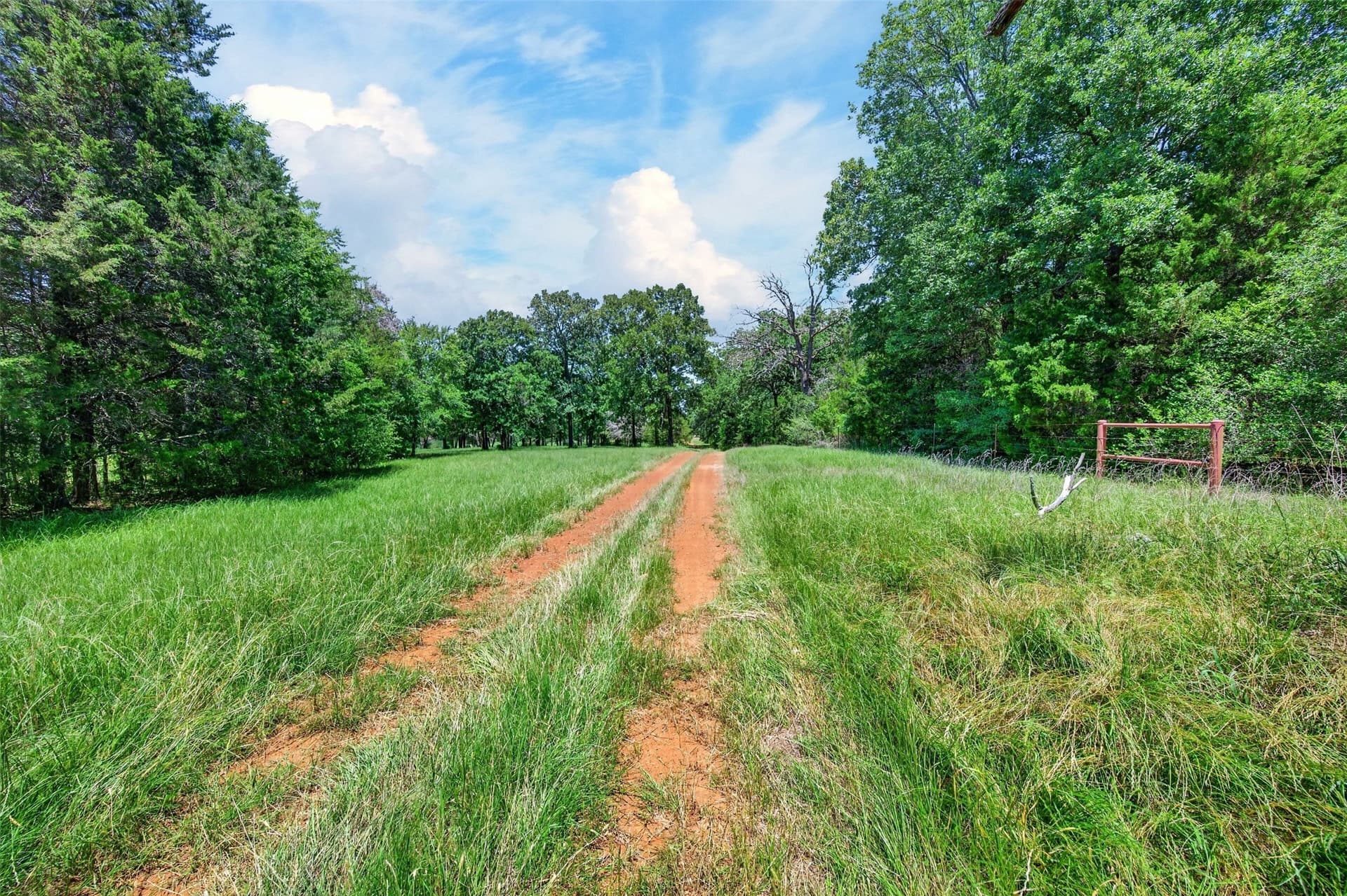 140 acres in Anderson County - photo 21