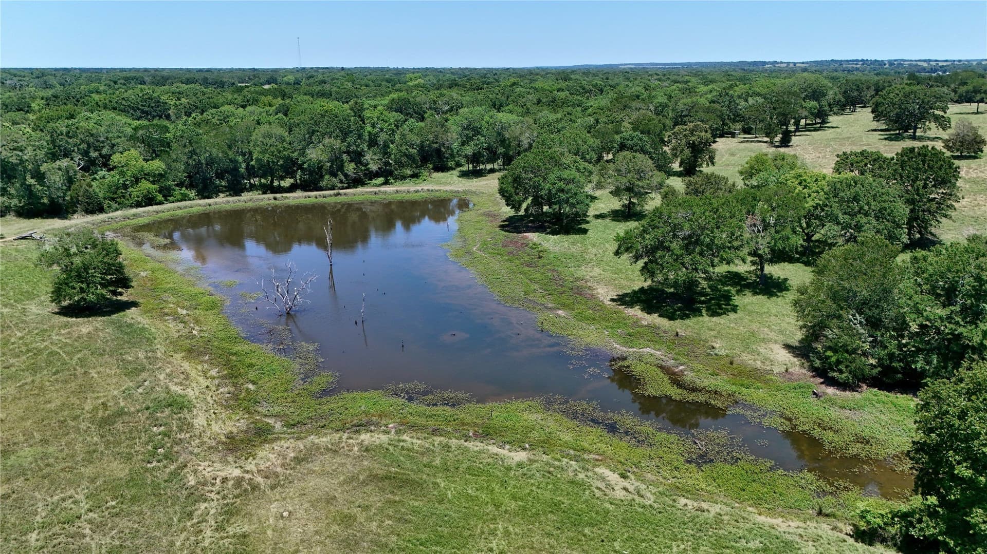 140 acres in Anderson County - photo 5