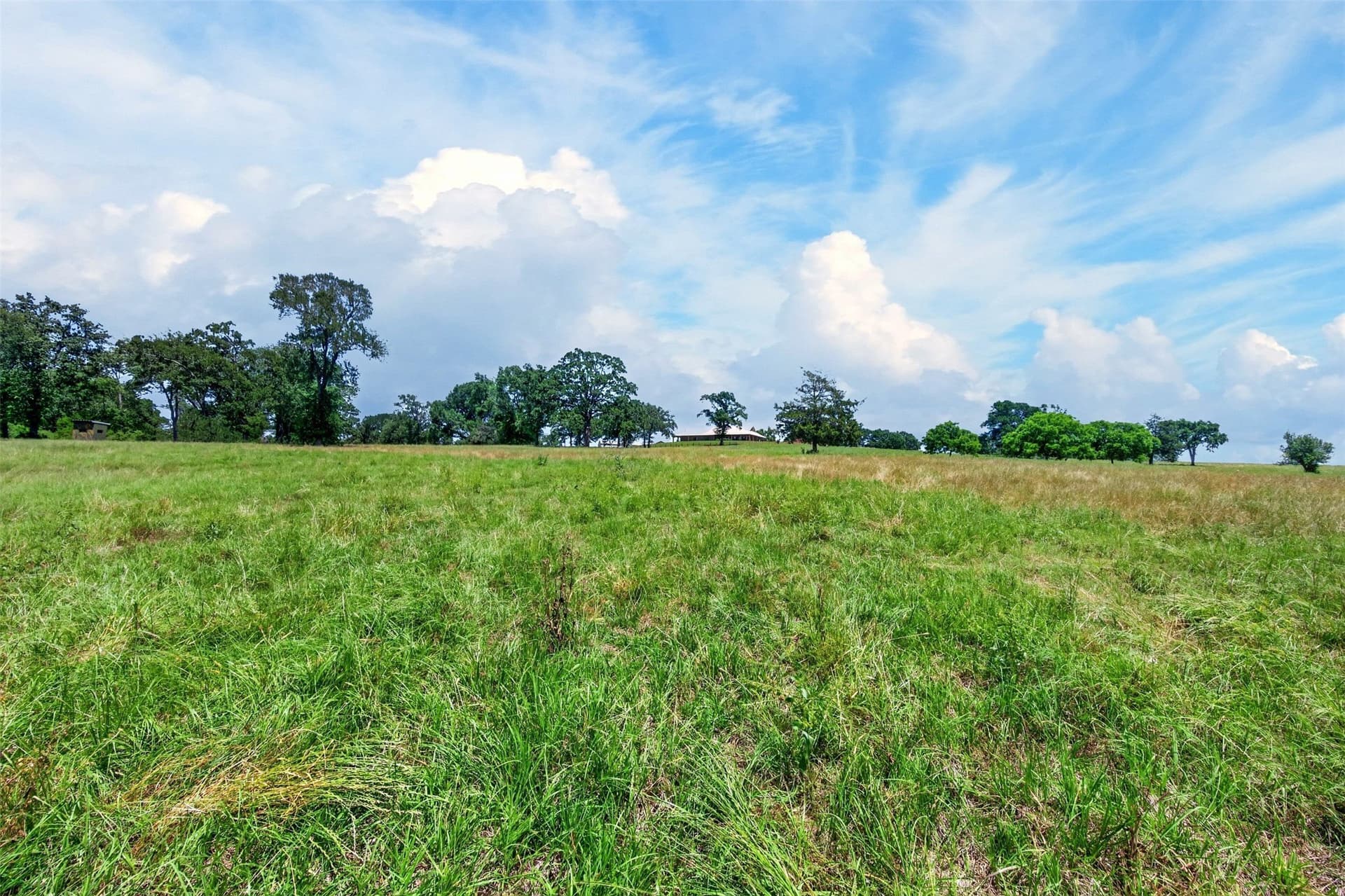 140 acres in Anderson County - photo 10