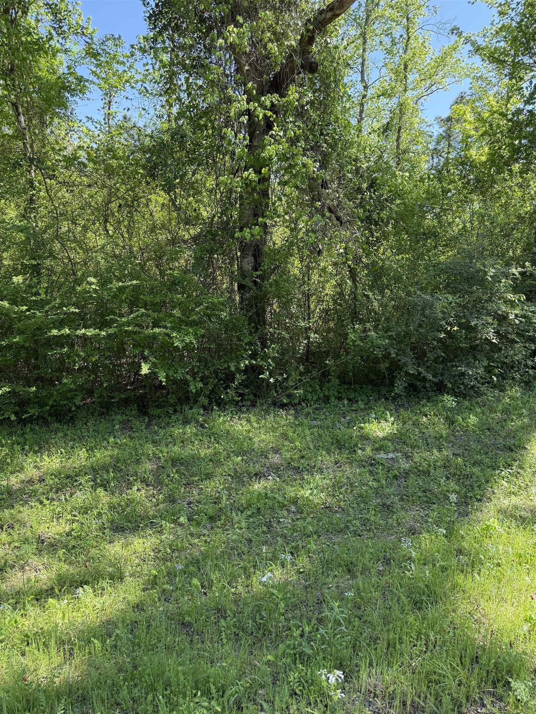 3.5 acres in Rusk County - photo 2