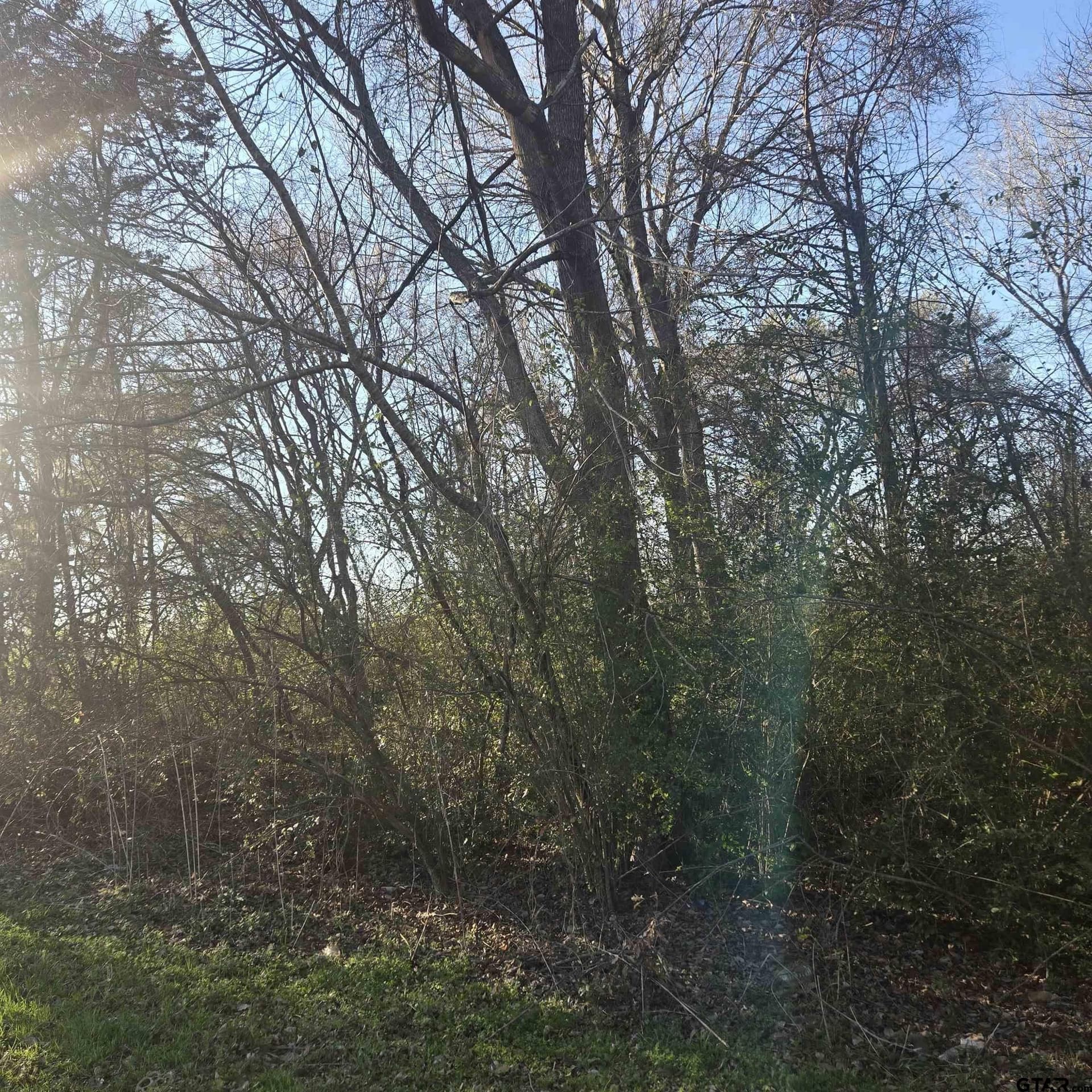 1 acres in Smith County gallery image 2