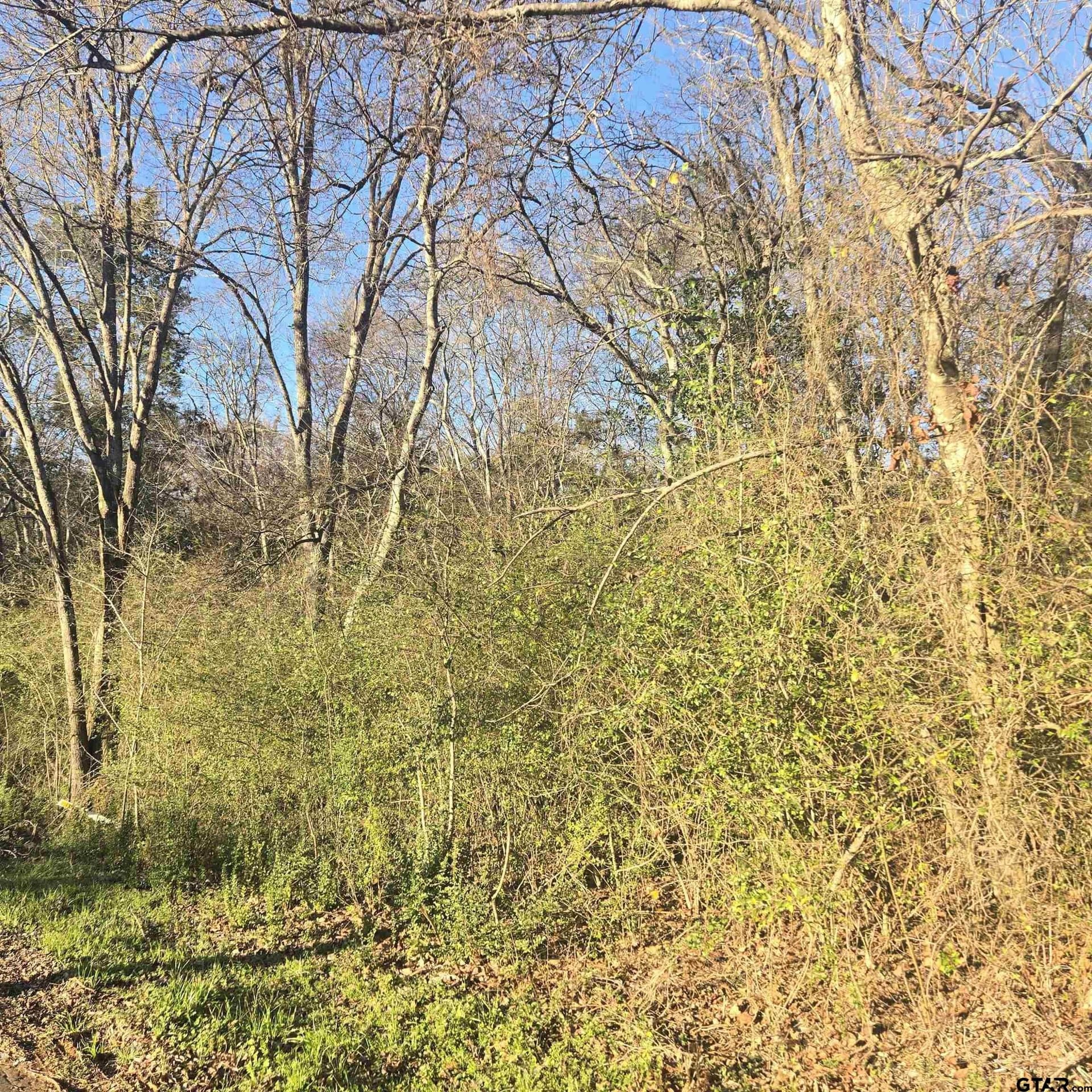1 acres in Smith County featured view
