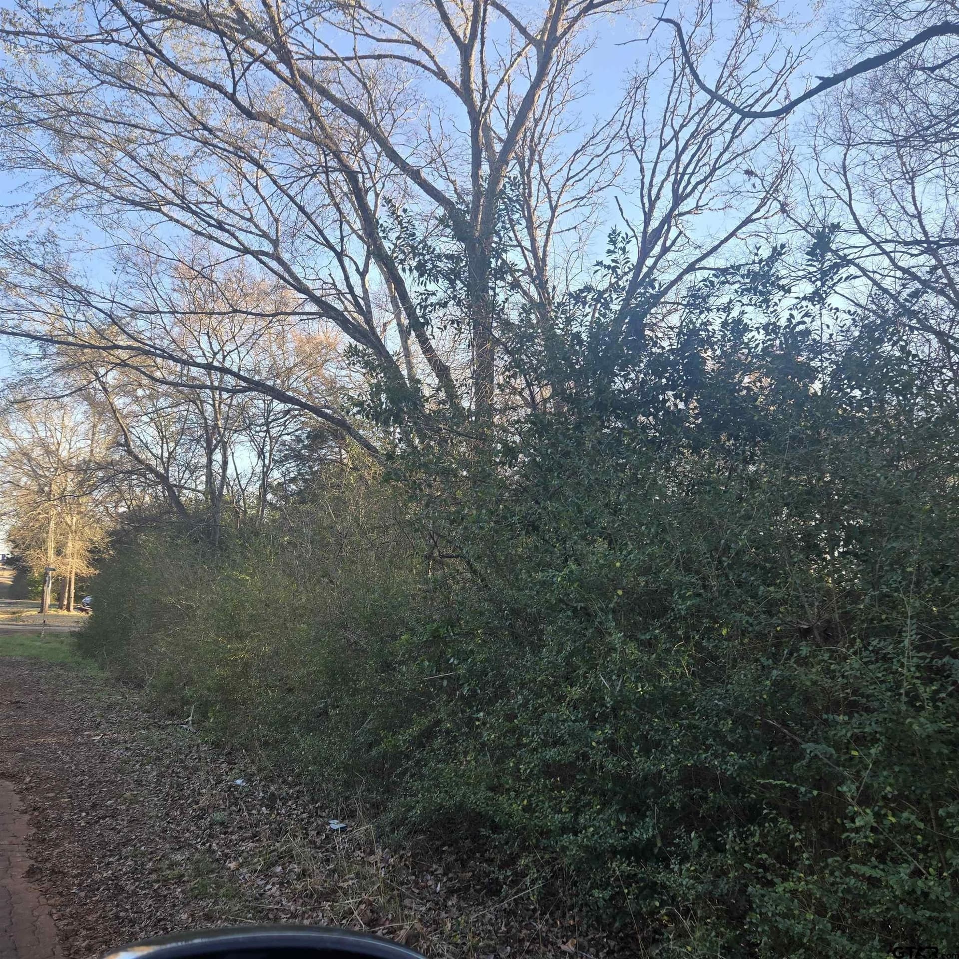 1 acres in Smith County gallery image 3