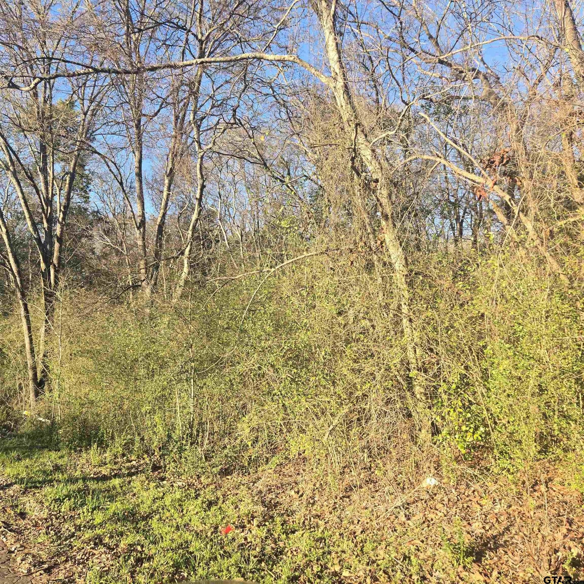 1 acres in Smith County - photo 6