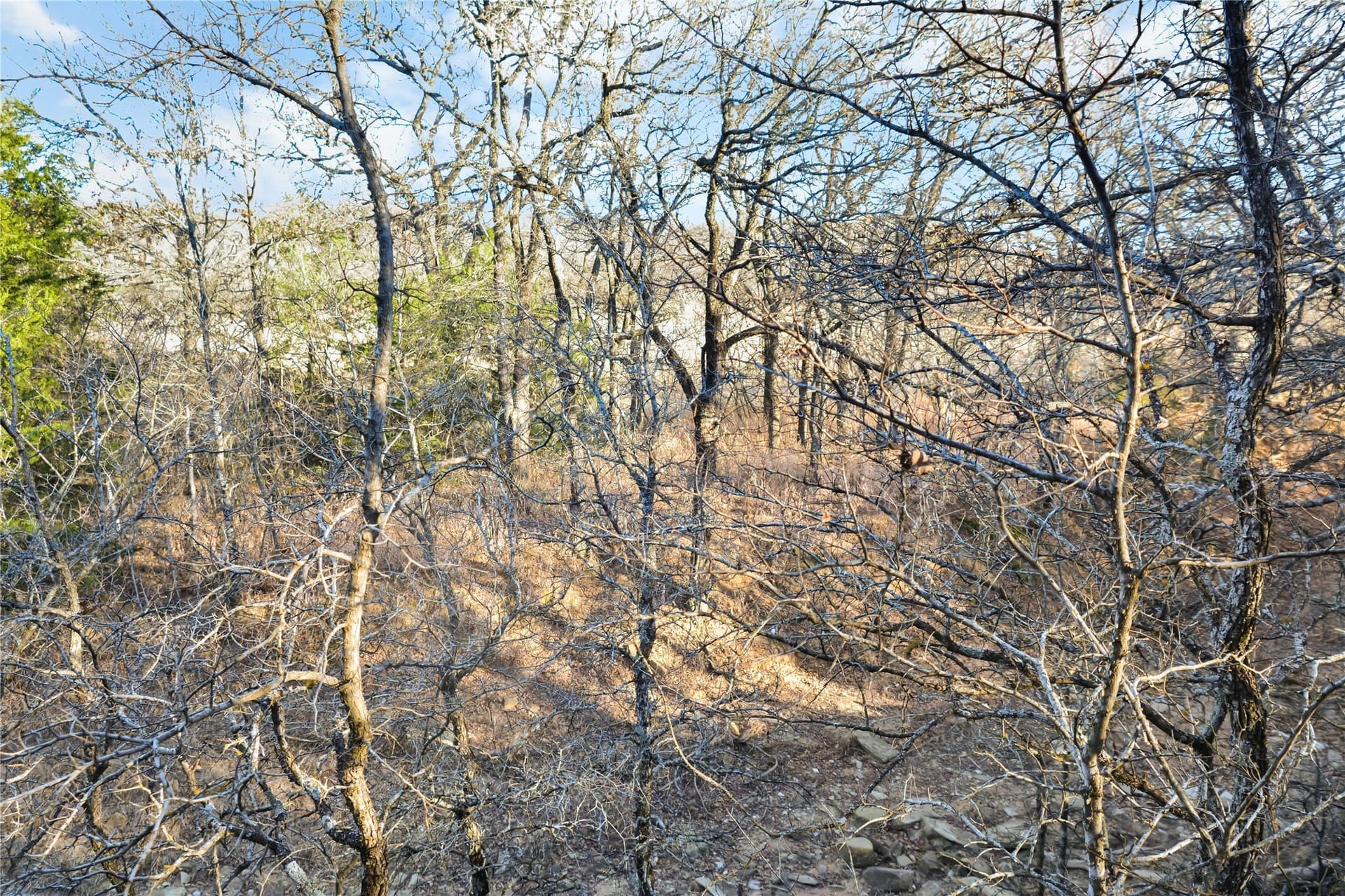 5.07 acres in Wise County - photo 10