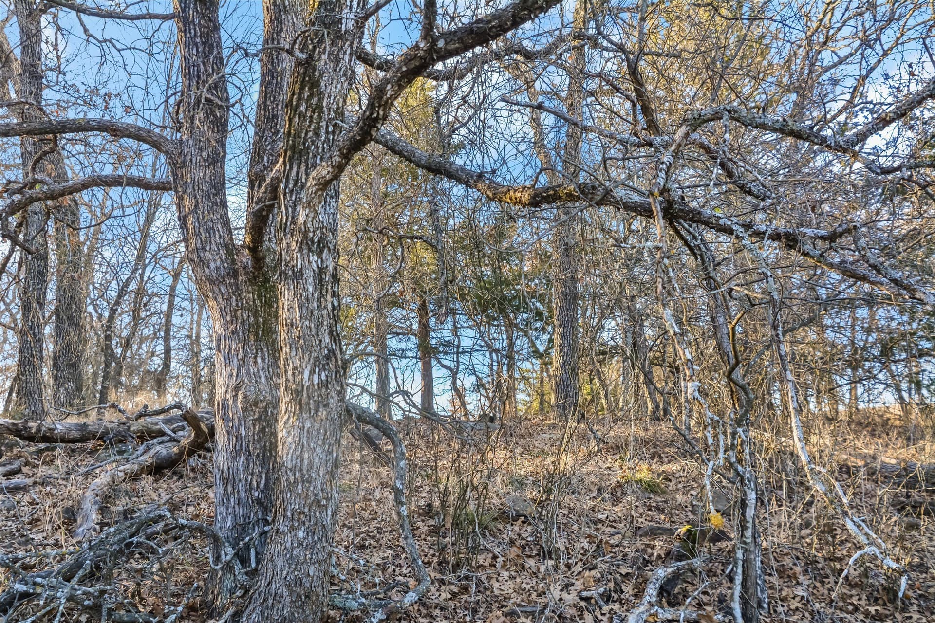 5.07 acres in Wise County - photo 12