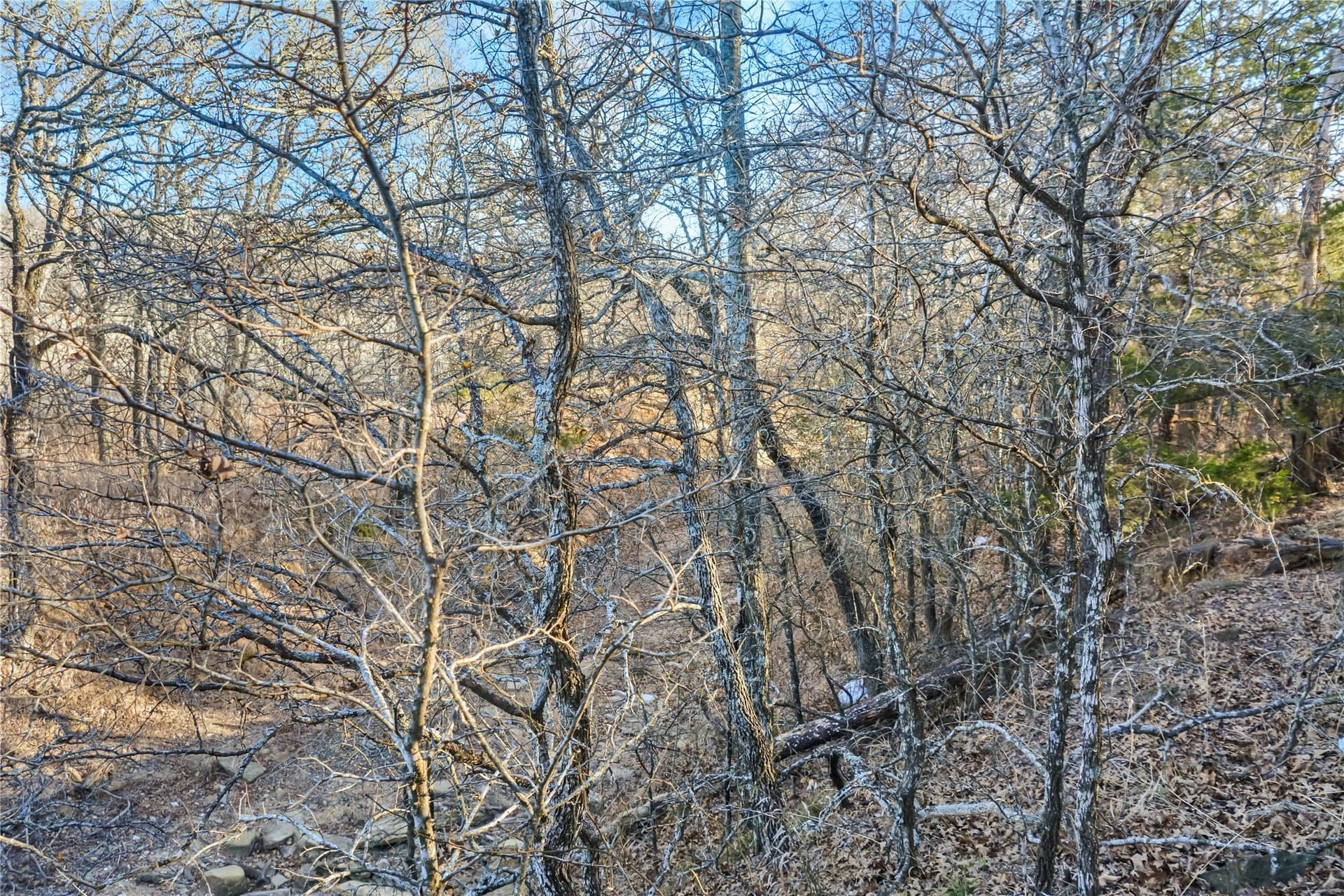 5.07 acres in Wise County - photo 9