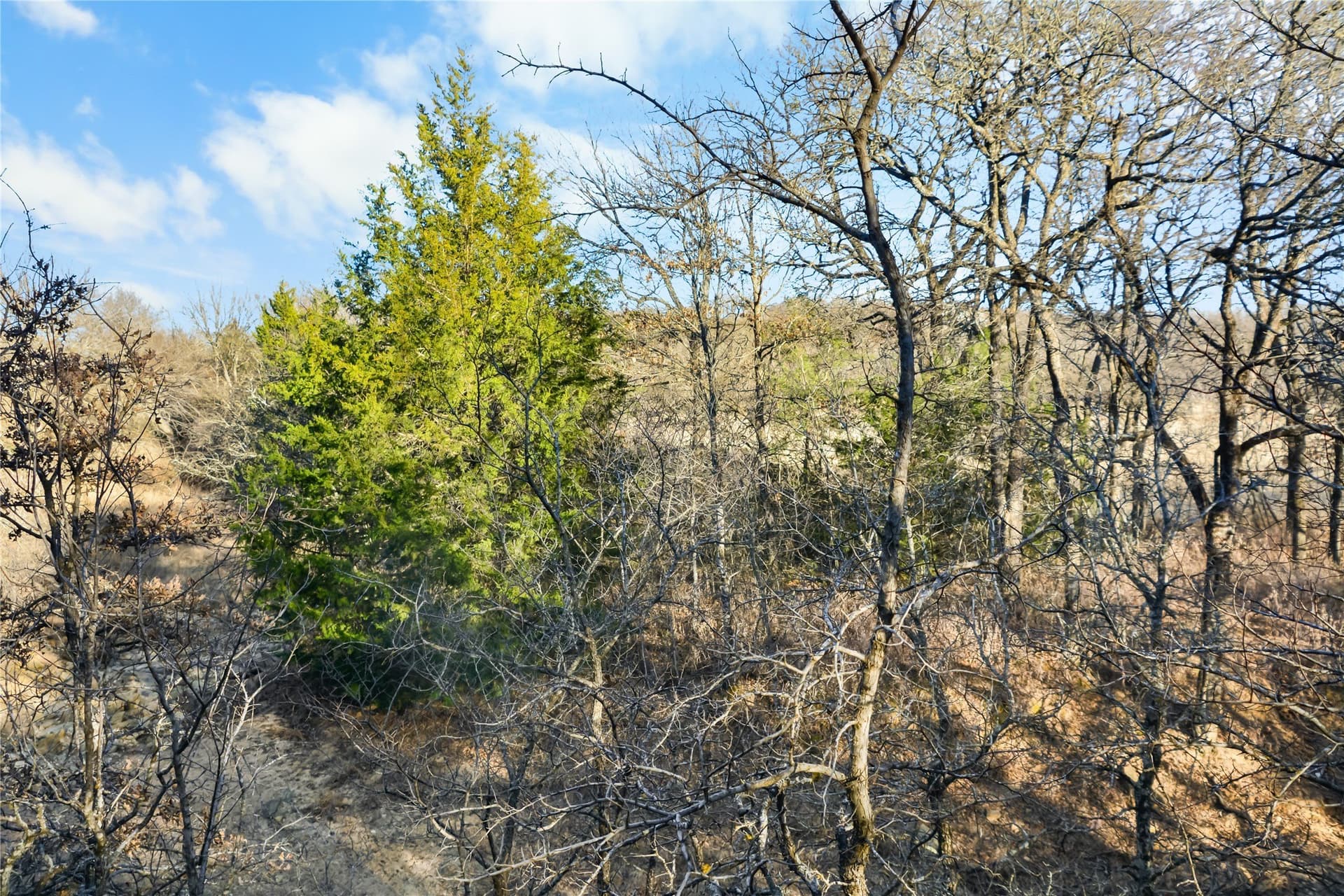 5.07 acres in Wise County - photo 11