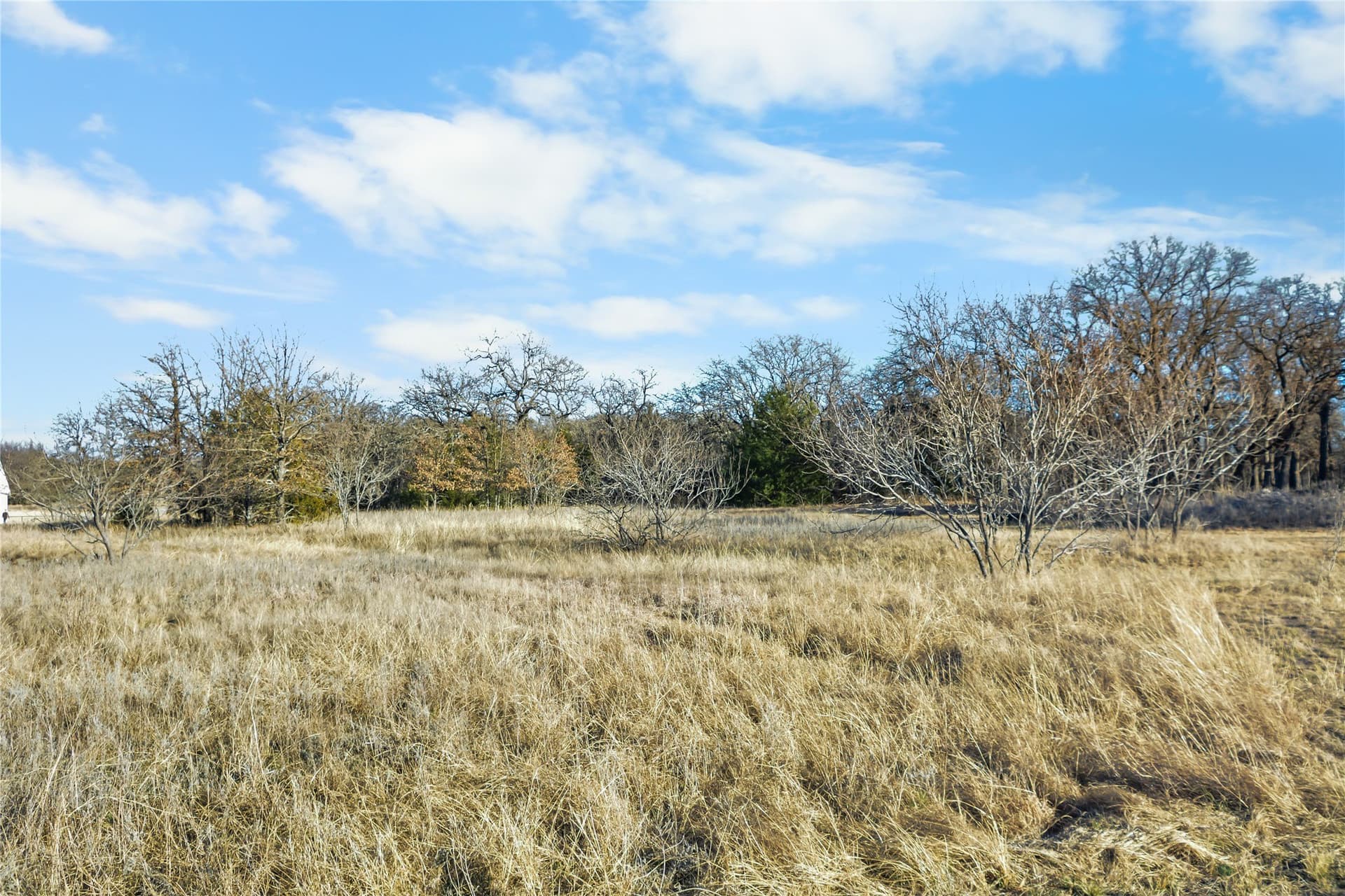 5.07 acres in Wise County featured view