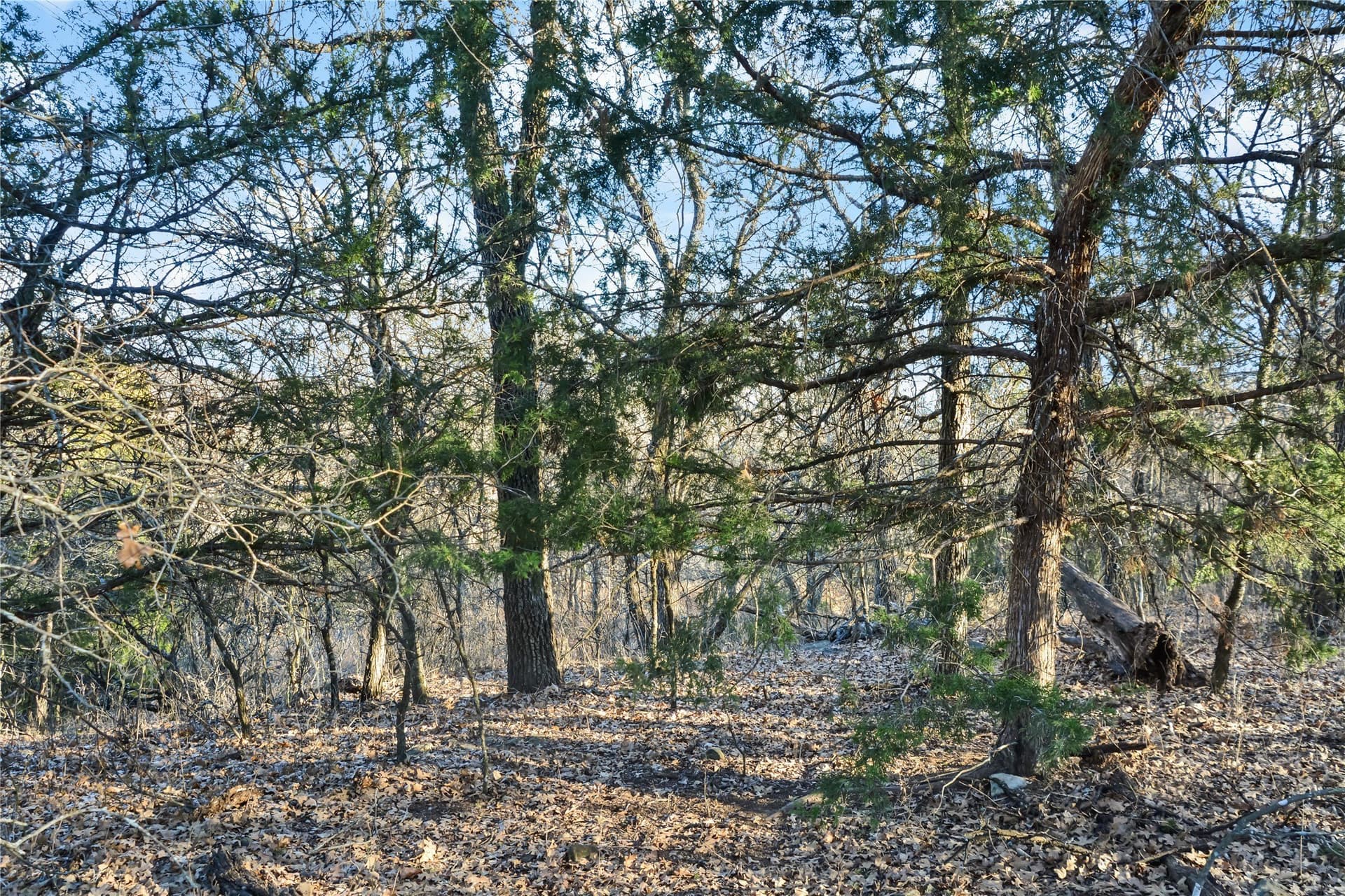 5.07 acres in Wise County - photo 7