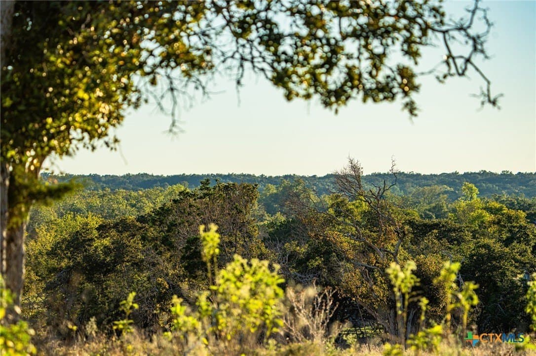 137 acres in Bell County - photo 16