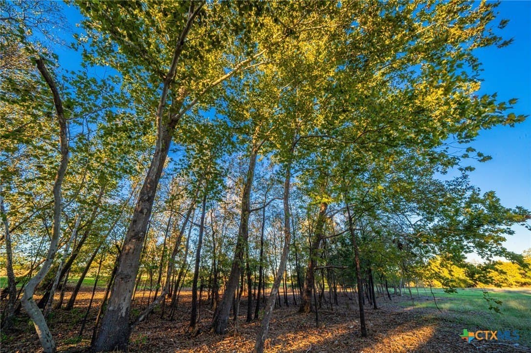 137 acres in Bell County - photo 18