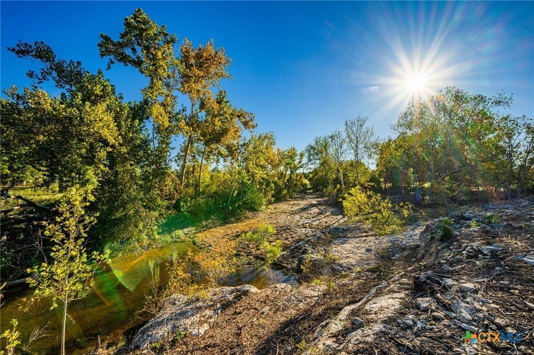 137 acres in Bell County - photo 15