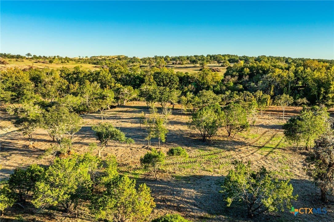 137 acres in Bell County - photo 12