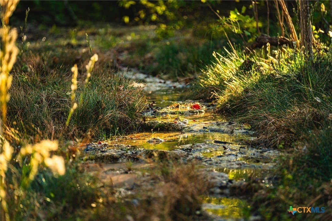 137 acres in Bell County gallery image 3