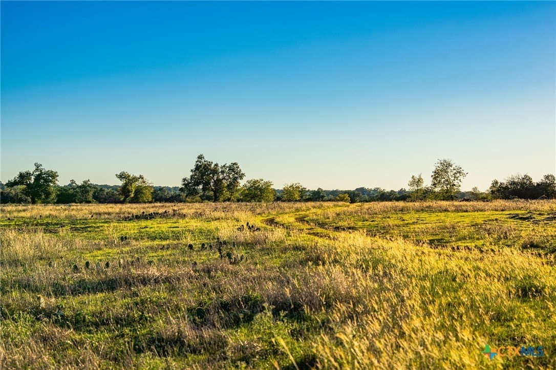 137 acres in Bell County - photo 17