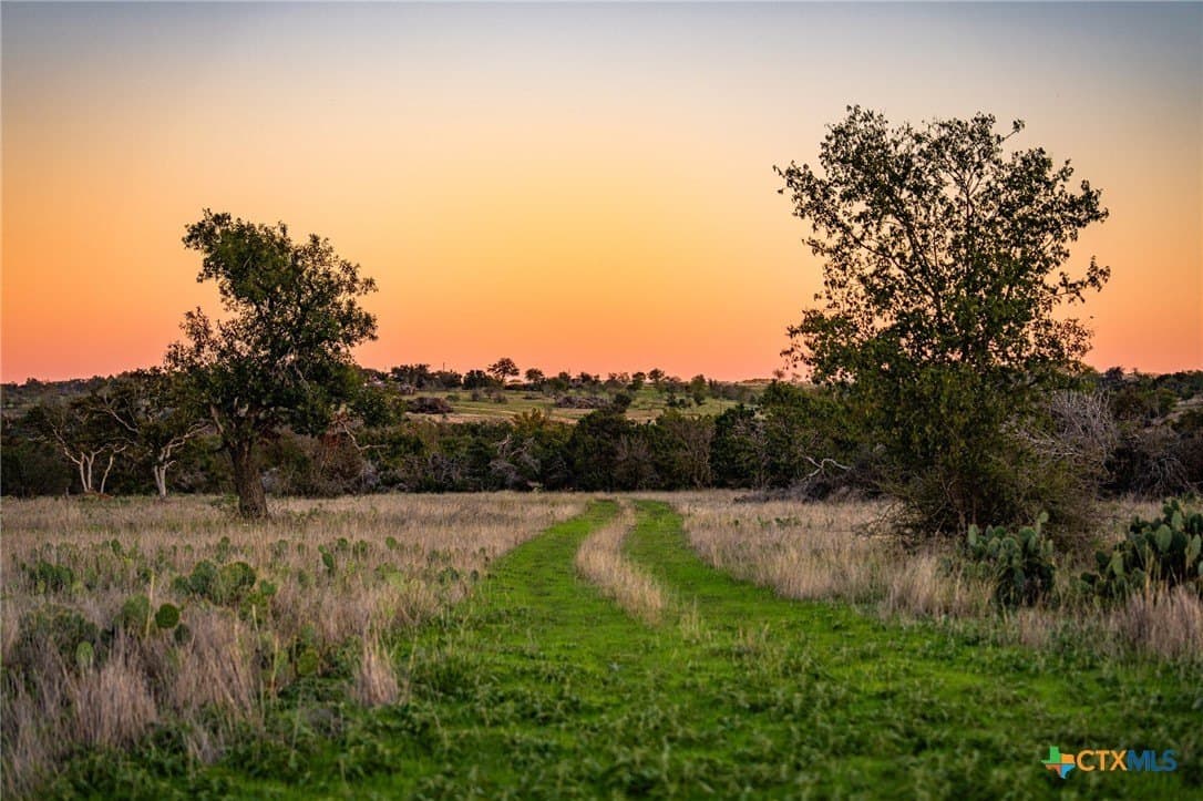 137 acres in Bell County featured view