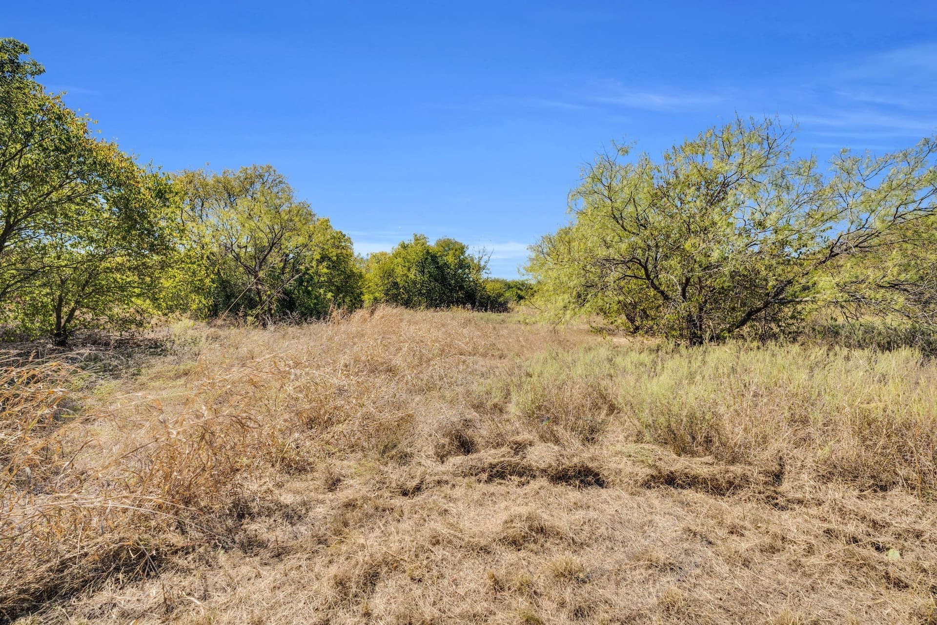 8 acres in Tarrant County - photo 12
