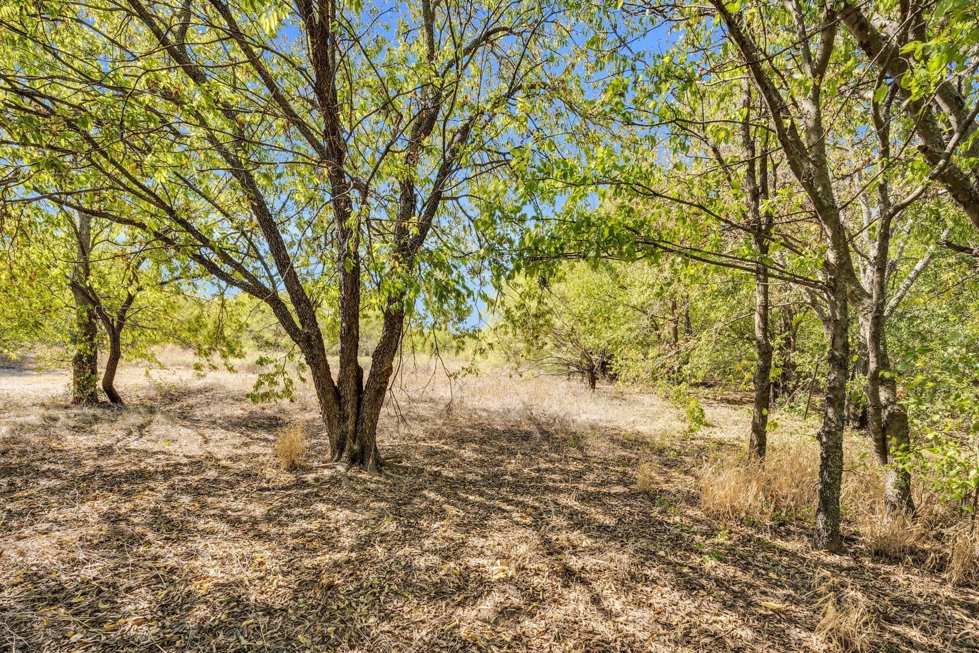8 acres in Tarrant County gallery image 2