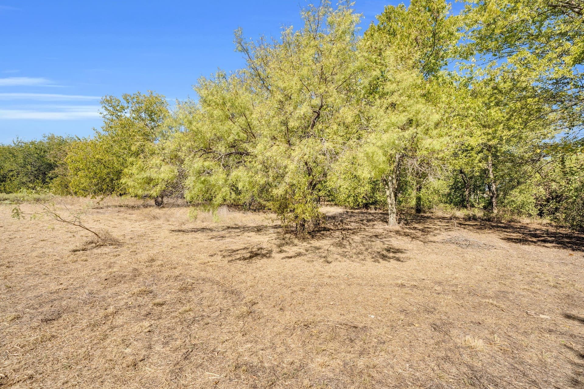 8 acres in Tarrant County gallery image 4