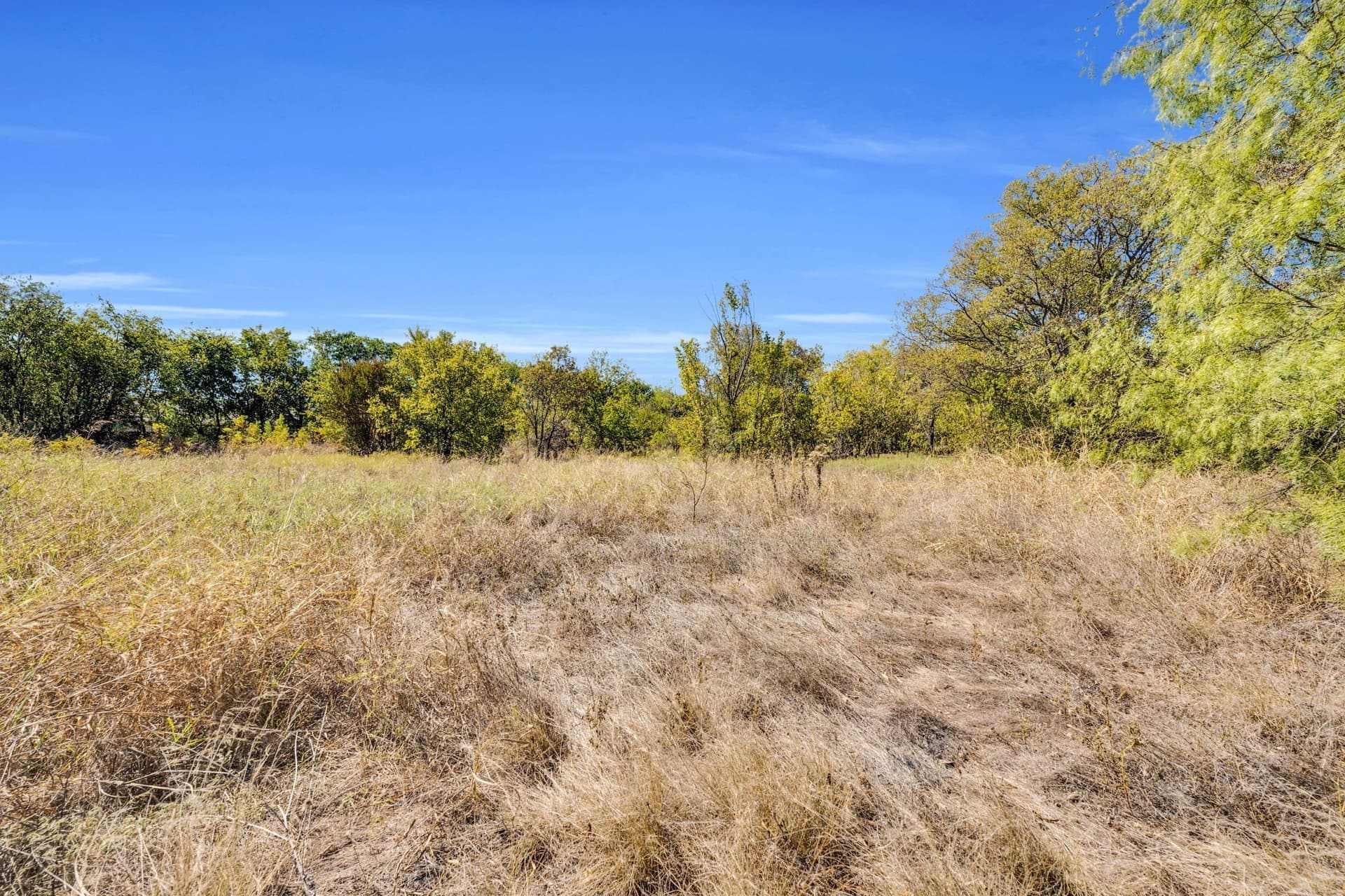 8 acres in Tarrant County - photo 9