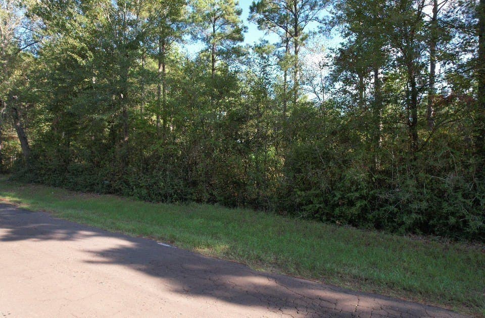 10.36 acres in Panola County - photo 14