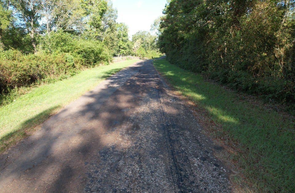 10.36 acres in Panola County - photo 7