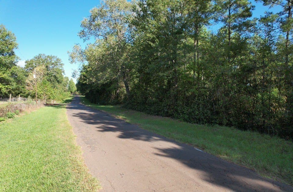 10.36 acres in Panola County - photo 15