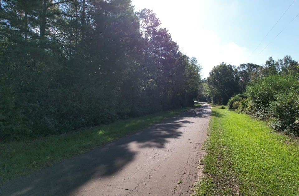 10.36 acres in Panola County - photo 11